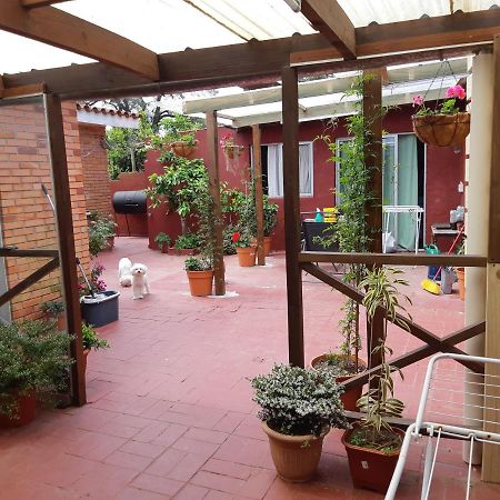 Ferienwohnung Alicia Punta del Este Exterior foto